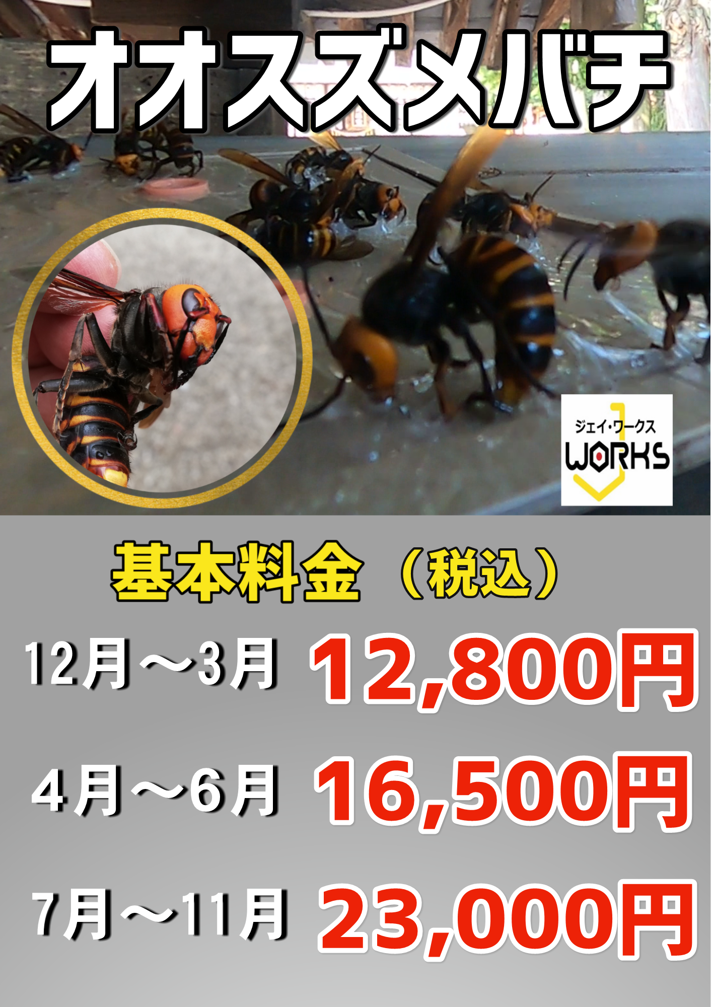 オオスズメバチ 料金表.png